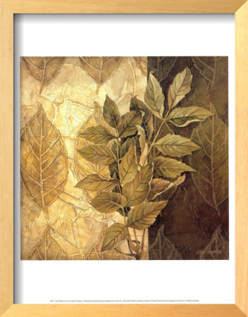 Leaf Patterns Iv by Linda Thompson Pricing Limited Edition Print image