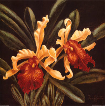 Orchids In Black I by Van Martin Pricing Limited Edition Print image