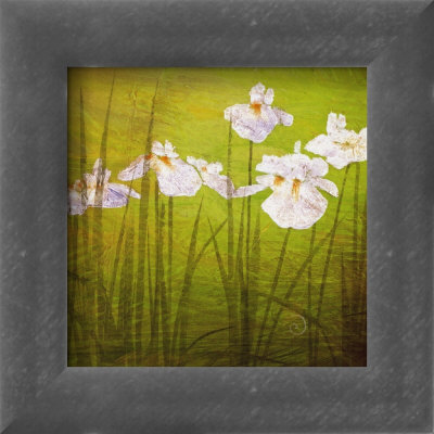 Garden Delights Ii by Don Li-Leger Pricing Limited Edition Print image