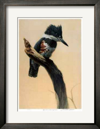High Point - Belted King Fisher by Michael Dumas Pricing Limited Edition Print image