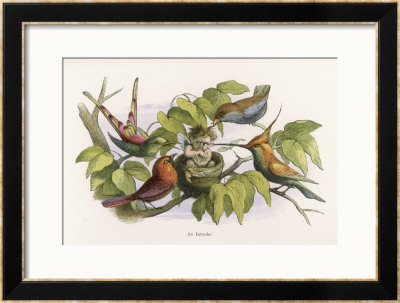 An Intruding Elf Makes Himself At Home In A Birds Nest by Richard Doyle Pricing Limited Edition Print image