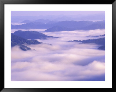 Valley Mist, Pine Mountain Kingdom Come State Park, Appalachian Mountains, Kentucky, Usa by Adam Jones Pricing Limited Edition Print image