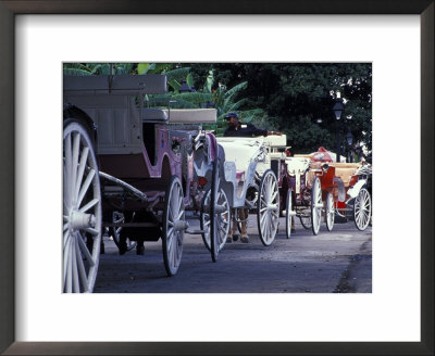 Horsedrawn Carriage At Jackson Square, French Quarter, Louisiana, Usa by Adam Jones Pricing Limited Edition Print image