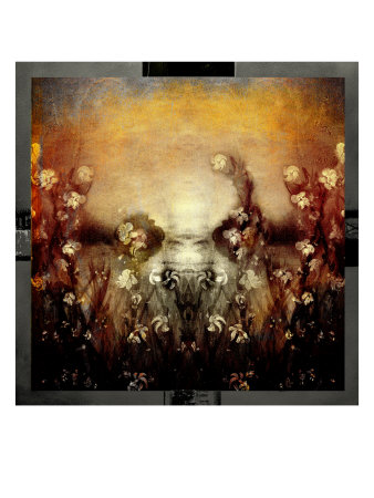 Fantasia Iv by Miguel Paredes Pricing Limited Edition Print image