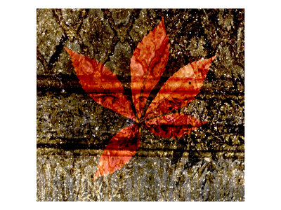 Red Leaves I by Miguel Paredes Pricing Limited Edition Print image