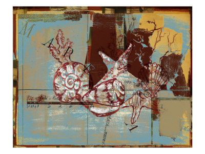 Seashells V by Miguel Paredes Pricing Limited Edition Print image