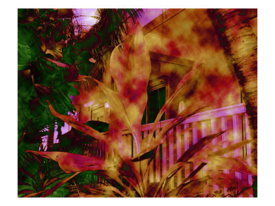 Abstract Garden I by Miguel Paredes Pricing Limited Edition Print image