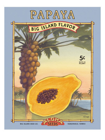 Papaya by Kerne Erickson Pricing Limited Edition Print image