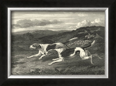 Foxhounds by John Scott Pricing Limited Edition Print image