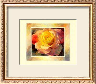 Flower I by Willem Haenraets Pricing Limited Edition Print image