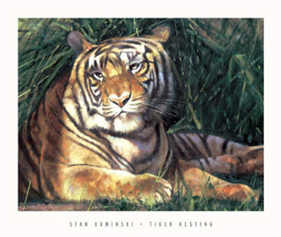 Tiger Resting by Stan Kaminski Pricing Limited Edition Print image