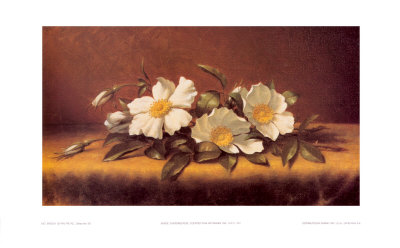 Cherokee Roses by Martin Johnson Heade Pricing Limited Edition Print image