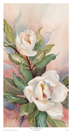 Classic Magnolia Ii by Barbara Mock Pricing Limited Edition Print image