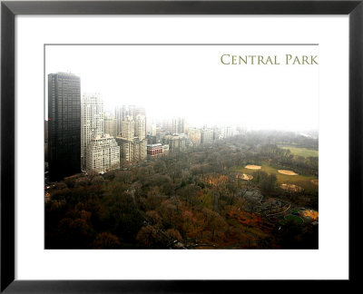 Central Park by Miguel Paredes Pricing Limited Edition Print image
