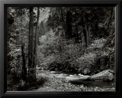 Tenaya Creek, Dogwood, Rain, Yosemite National Park, Ca 1948 by Ansel Adams Pricing Limited Edition Print image