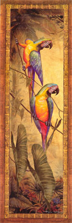 Macaw I by Steve Butler Pricing Limited Edition Print image
