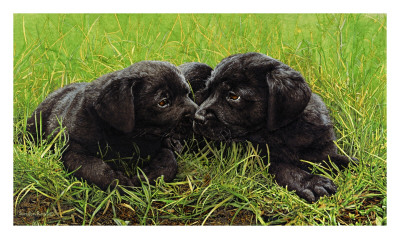 Siblings by Sueellen Ross Pricing Limited Edition Print image