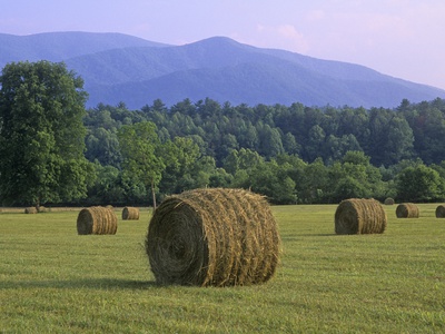 Hay Bales, Cades Cove, Great Smoky Mountains National Park, Tennessee, Usa. by Adam Jones Pricing Limited Edition Print image