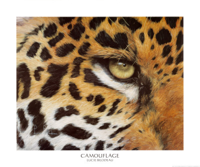 Camouflage by Lucie Bilodeau Pricing Limited Edition Print image