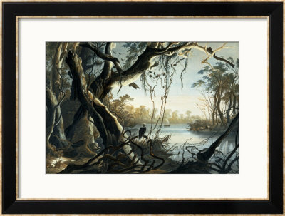 The Mouth Of The Fox River, Indiana by Karl Bodmer Pricing Limited Edition Print image