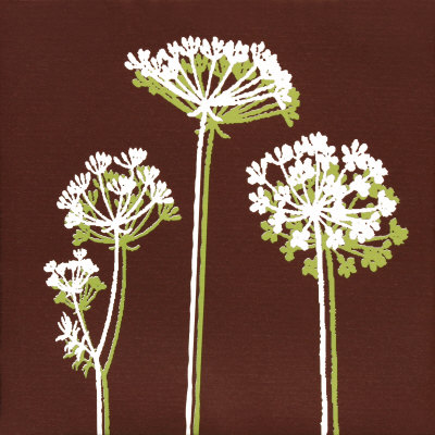 Queen Anne's Lace by Andrea Smith Pricing Limited Edition Print image
