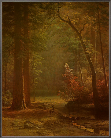 Dogwood by Albert Bierstadt Pricing Limited Edition Print image