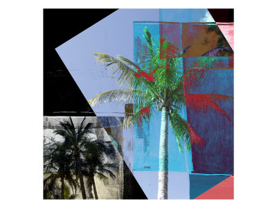 New Palms Xxii by Miguel Paredes Pricing Limited Edition Print image
