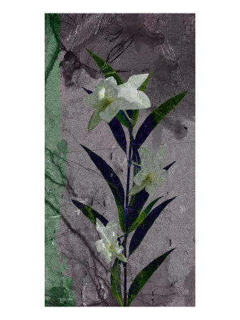 New Flower X by Miguel Paredes Pricing Limited Edition Print image