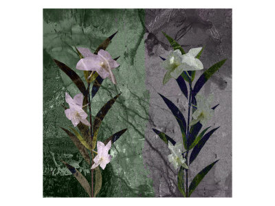 New Flower Xi by Miguel Paredes Pricing Limited Edition Print image