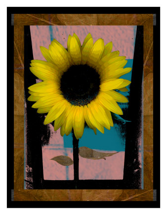 Sunflower Iv by Miguel Paredes Pricing Limited Edition Print image