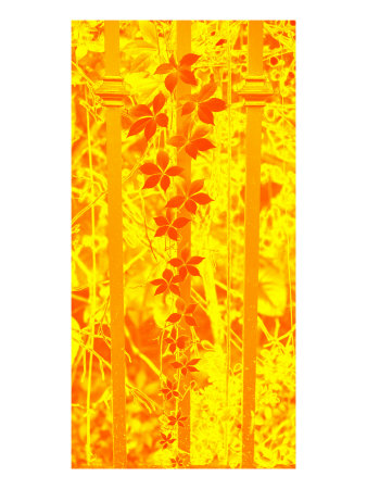Abstract Flowers Vi by Miguel Paredes Pricing Limited Edition Print image