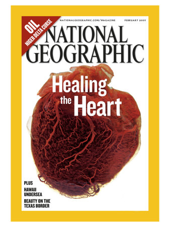 Cover Of The February, 2007 Issue Of National Geographic Magazine by Robert Clark Pricing Limited Edition Print image