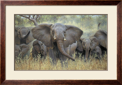 Leader Of The Herd by Guy Coheleach Pricing Limited Edition Print image