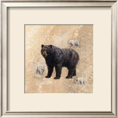Bear Study by Judy Gibson Pricing Limited Edition Print image