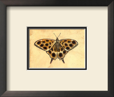 Butterfly Ii by Steve Butler Pricing Limited Edition Print image