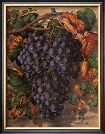 Prize Black Hamburg Grapes by Currier & Ives Pricing Limited Edition Print image