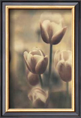 Tinted Tulips Iii by Thea Schrack Pricing Limited Edition Print image