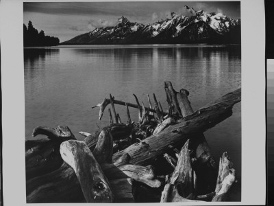 Serene Landscape With Snowy Mountains, Lake And Driftwood, At Grand Canyon National Park, Az by Ansel Adams Pricing Limited Edition Print image