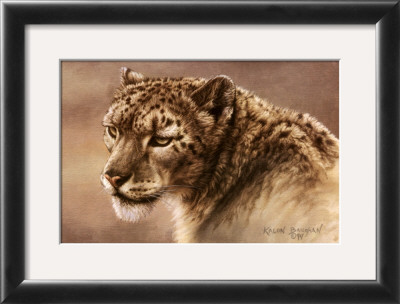 Serenity by Kalon Baughan Pricing Limited Edition Print image