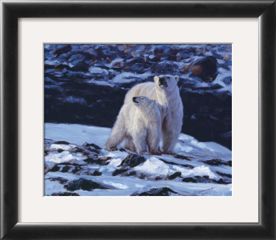 At The Edge Of The Bay by John Banovich Pricing Limited Edition Print image