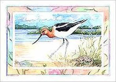 American Avocet by Paul Brent Pricing Limited Edition Print image