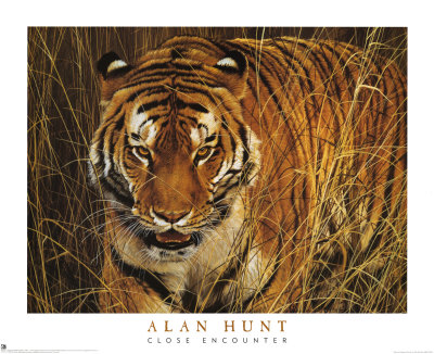 Close Encounter by Alan Hunt Pricing Limited Edition Print image