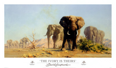 The Ivory Is Theirs by David Shepherd Pricing Limited Edition Print image
