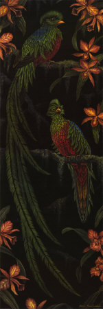 Quetzal I by Debra Swartzendruber Pricing Limited Edition Print image