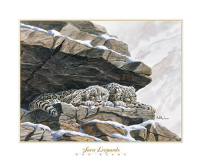 Snow Leopards by Don Balke Pricing Limited Edition Print image