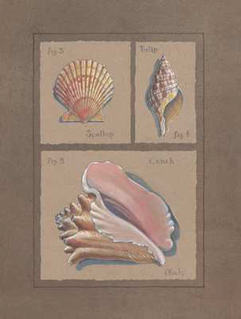Conch Collage by Paul Brent Pricing Limited Edition Print image