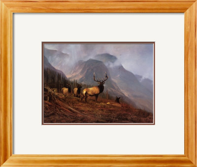 Bookcliffs Elk I by Michael Coleman Pricing Limited Edition Print image