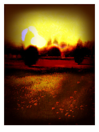 Yellow Dusk I by Miguel Paredes Pricing Limited Edition Print image