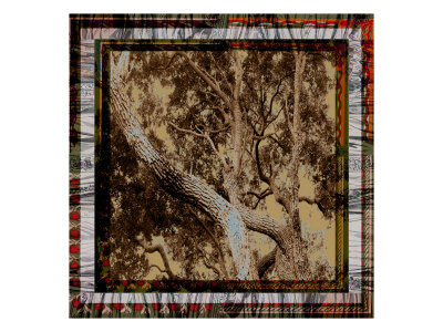 Tree Frame Iv by Miguel Paredes Pricing Limited Edition Print image