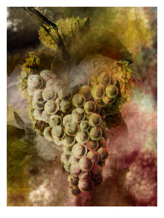 Grape Ii by Miguel Paredes Pricing Limited Edition Print image